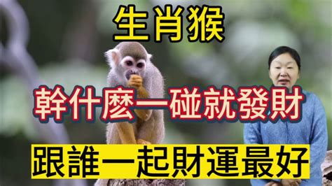 屬猴跟什麼生肖不合